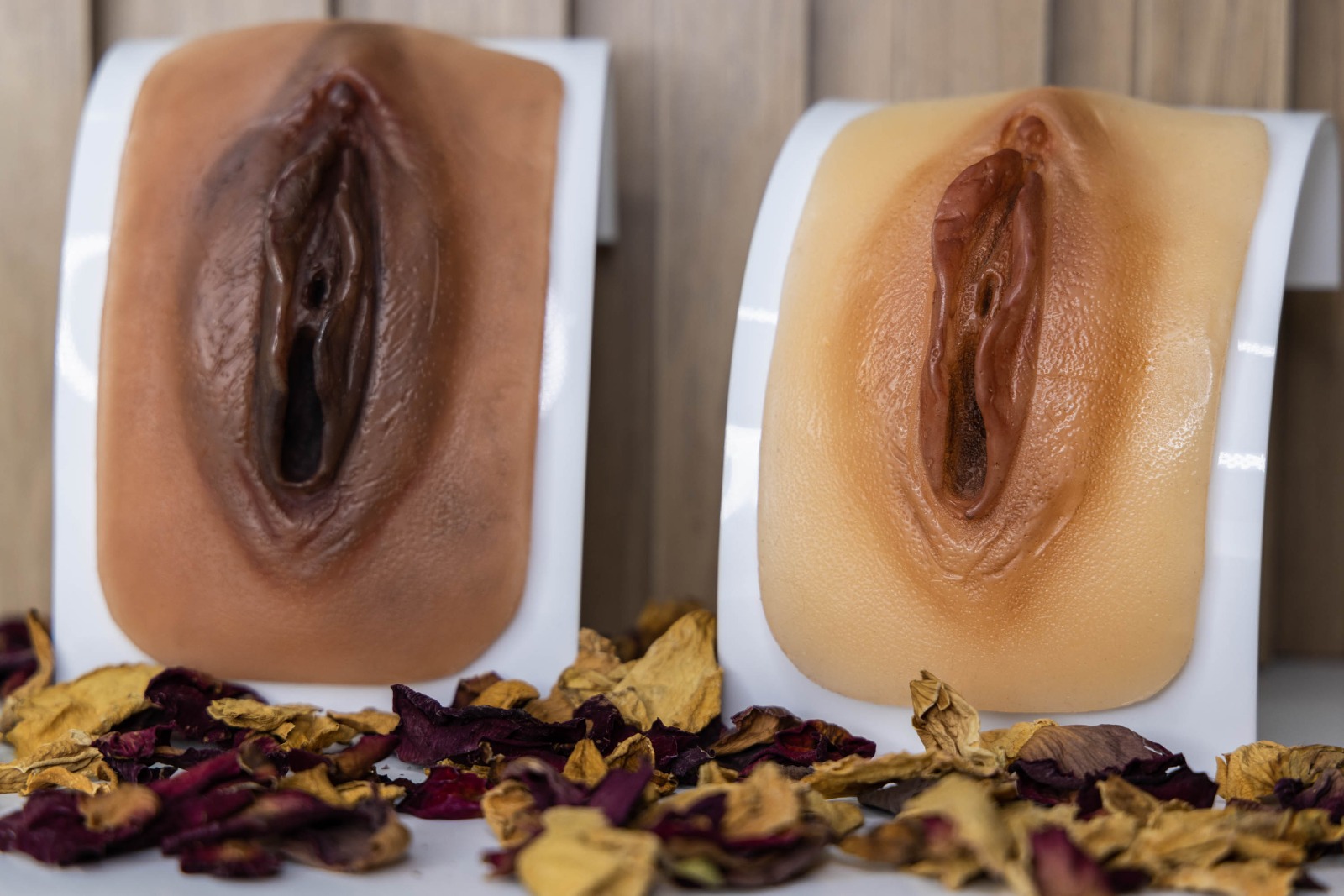 vulva1